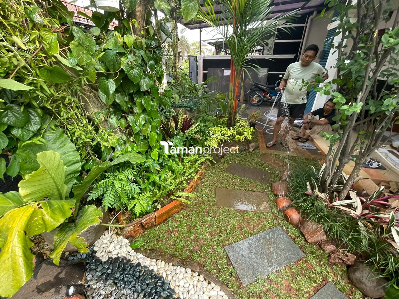 taman vertikal kolam relief taman minimalis
